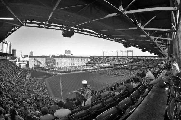 baseball stadium crowd